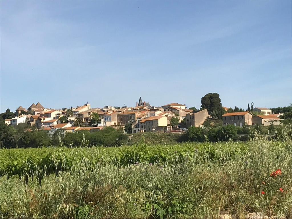 Maison Bon Ton Paraza Bagian luar foto